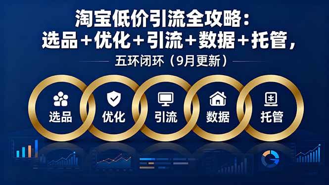 (16009期)淘宝低价引流全攻略:选品+优化+引流+数据+托管,五环闭环(9月更新)-九才资源网