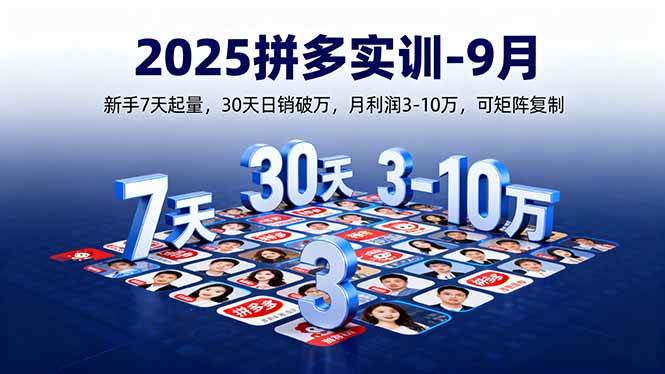 (16008期)2025拼多多实训-9月:新手7天起量,30天日销破万,月利润3-10万,可矩阵复制-九才资源网