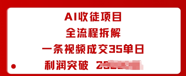 AI收徒项目全流程拆解一条视频成交35单日利润突破1k+-九才资源网