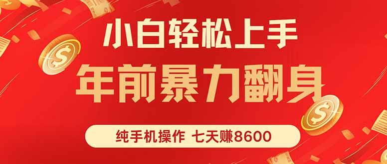 (16080期)七天狂赚8600,小白纯手机操作,日入1000+-九才资源网