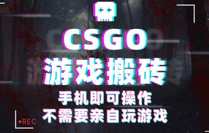 (16090期)CSGO游戏挂机捡漏,单日扫货500+,年底小高峰上车可吃肉,手机即可操作…-九才资源网