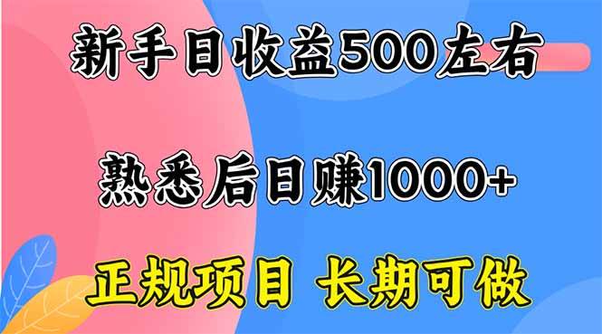 (16132期)新手日收益500+ 正规项目 长期可做-九才资源网