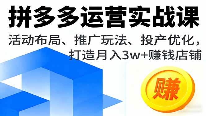 (16135期)拼多多运营实战课,活动布局、推广玩法、投产优化,打造月入3w+赚钱店铺-九才资源网