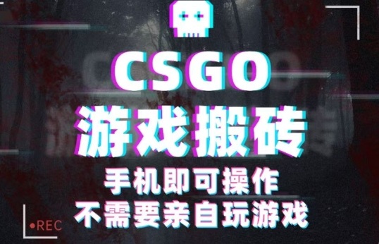 CSGO游戏挂G捡漏,单日扫货5张+,年底小高峰上车可吃肉,手机即可操作,兼职副业创业网创【揭秘】-九才资源网