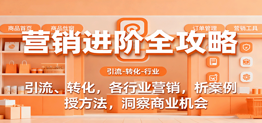 营销进阶全攻略,引流、转化,各行业营销,析案例,授方法,洞察商业机会-九才资源网