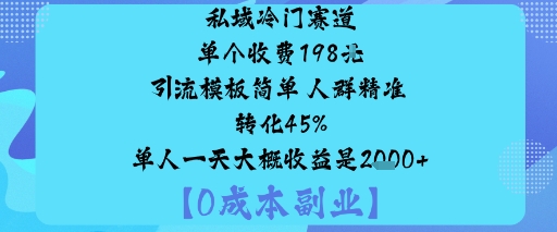 私域冷门赛道:单个收费198米引流模板简单人群精准转化45%单人一天大概收益是1k+-九才资源网