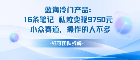 蓝海项目:16条笔记私域变现9750米小众赛道操作的人不多-九才资源网