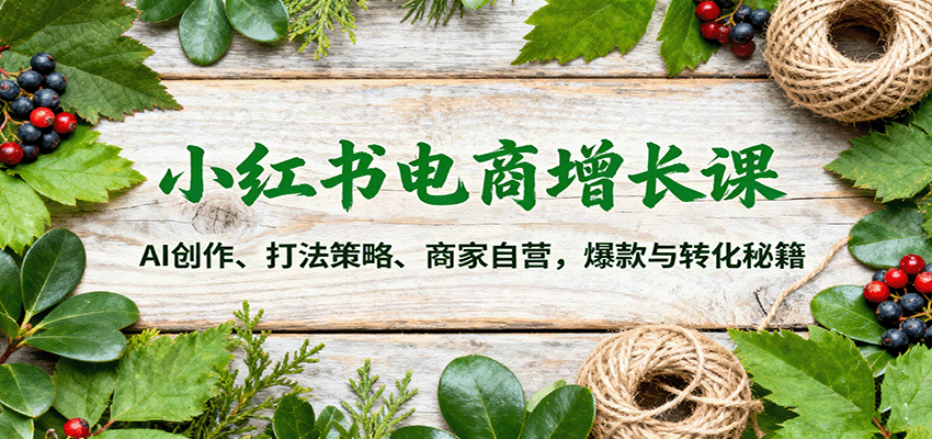 小红书电商增长课:AI创作、打法策略、商家自营,爆款与转化秘籍-九才资源网