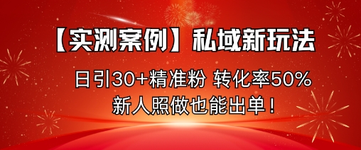 【实测案例】私域新玩法,日引30+精准粉,转化率50%,新人照做也能出单!-九才资源网