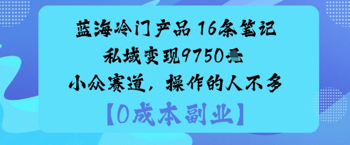 蓝海冷门产品:16条笔记私域变现9750米小众赛道,操作的人不多-九才资源网