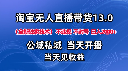 淘宝无人直播13.0,公域私域技术,不封号,不违规布局下半年旺季赛道,日入1K+(独家技术)【揭秘】-九才资源网
