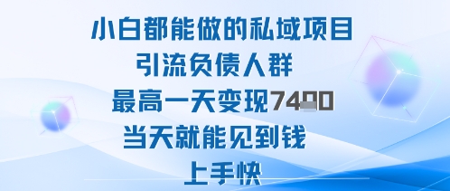 2025年小白都能做的私域项目引流负债人群最高一天变现1k+高变现难度低当天就能见到钱上手快-九才资源网