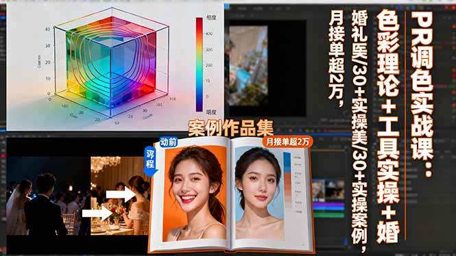 (16336期)PR调色实战课:色彩理论+工具实操+婚礼医美/30+实操案例,月接单超2万-九才资源网