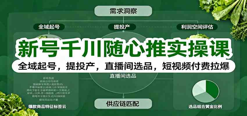 新号千川随心推实操课:全域起号,提投产,直播间选品,短视频付费拉爆-九才资源网