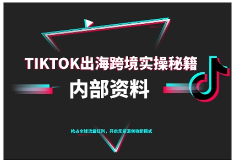 TikTok跨境电商0-1搭建运营,TK出海跨境实操秘籍(10月更新)-九才资源网