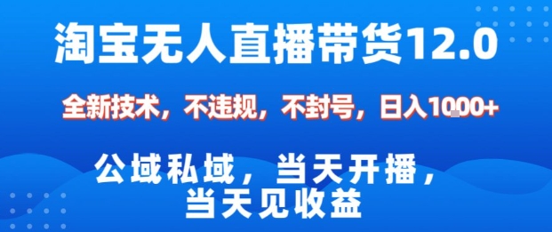 淘宝无人直播12.0,公域私域技术,不封号,不违规布局双十一流量风口,日入1k(独家技术)【揭秘】-九才资源网