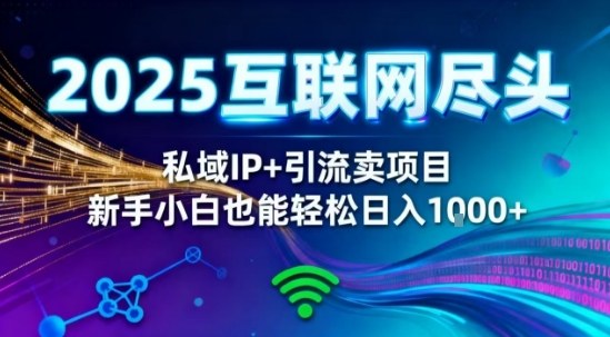 2025网创尽头王炸项目!私域IP+精准引流,新手小白在家躺賺日入1k,零经验也能上手【揭秘】-九才资源网