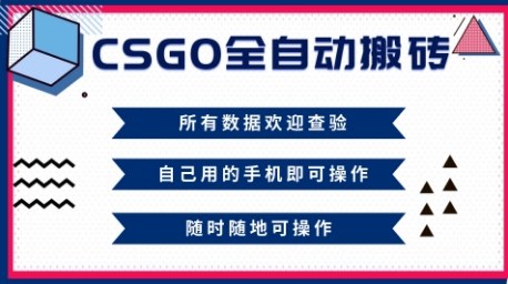 CSGO全自动搬砖,年底钱回家好项目,当天可拿到结果,新手小白轻松月入1W+【揭秘】-九才资源网