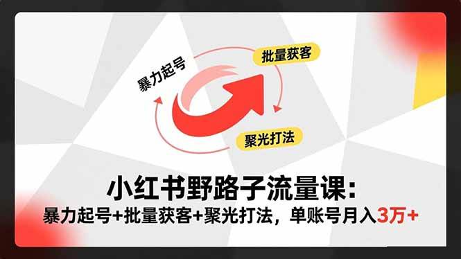 (16513期)小红书野路子流量课:暴力起号+批量获客+聚光打法,单账号月入3万+-九才资源网