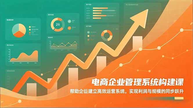 (16643期)电商企业管理系统构建课:帮助企业建立高效运营系统,实现利润与规模的同步跃升-九才资源网