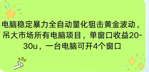 (16737期)电脑EA策略挂机项目单窗口收益20-30u,单电脑可挂5-10个窗口收益稳健4位数-九才资源网
