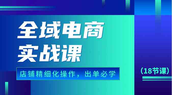 全域电商实战课，个人店铺精细化操作流程，出单必学内容（18节课）-九才资源网