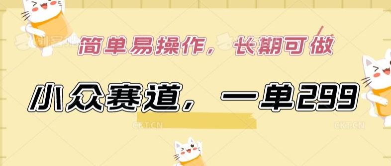 小众赛道，一单299.简单易操作，长期可做【揭秘】-九才资源网