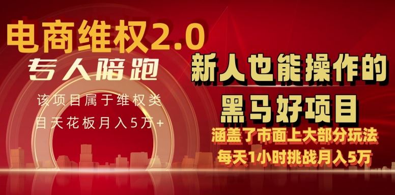电商维权 4.0 如何做到月入 5 万+每天 1 小时新人也能快速上手【仅揭秘】-九才资源网