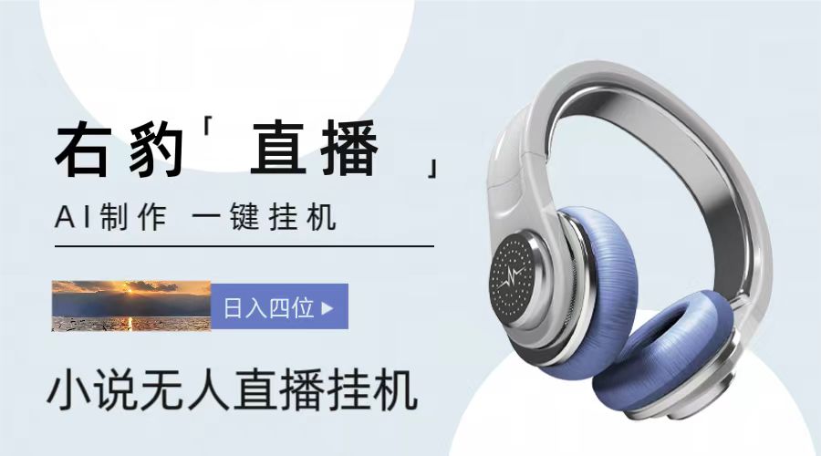 右豹小说无人直播挂机吸金项目，简单易行收益稳定， 月入1000+-九才资源网