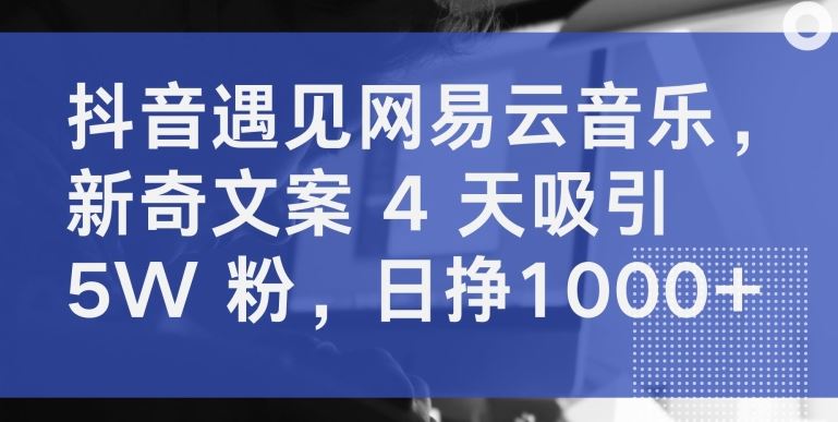 抖音遇见网易云音乐，新奇文案 4 天吸引 5W 粉，日挣1000+【揭秘】-九才资源网