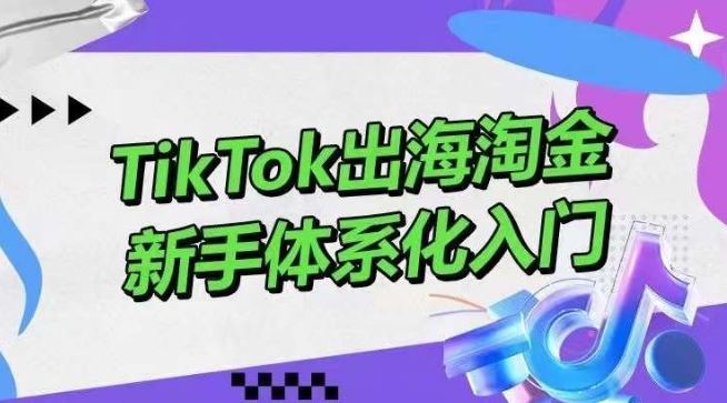 TikTok出海淘金，新手体系化入门，零基础快速入门，掌握短视频、直播带货等引流到变现的知识-九才资源网