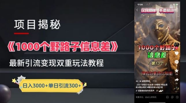 一千个野路子信息差最新玩法教程-变现+引流的玩法具体拆解【揭秘】-九才资源网