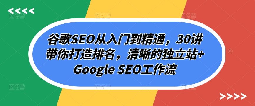 谷歌SEO从入门到精通，30讲带你打造排名，清晰的独立站+Google SEO工作流-九才资源网