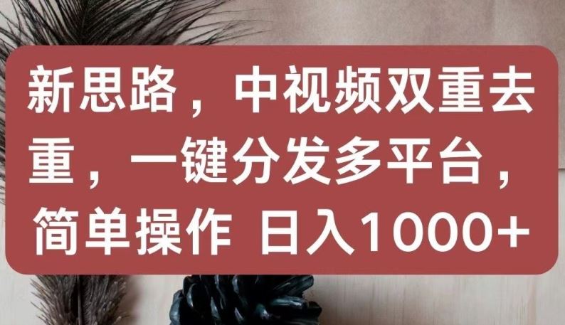 新思路，中视频双重去重，一键分发多平台，简单操作，日入1000+【揭秘】-九才资源网