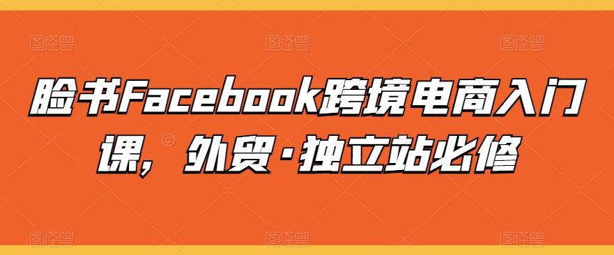 脸书Facebook跨境电商入门课，外贸·独立站必修-九才资源网