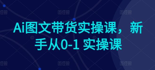 Ai图文带货实操课，新手从0-1 实操课-九才资源网