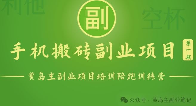 手机搬砖小副业项目训练营1.0，实测1小时收益50+，一部手机轻松日入100+-九才资源网