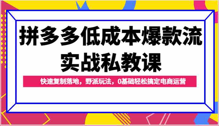 拼多多低成本爆款流实战私教课，快速复制落地，野派玩法，0基础轻松搞定电商运营-九才资源网