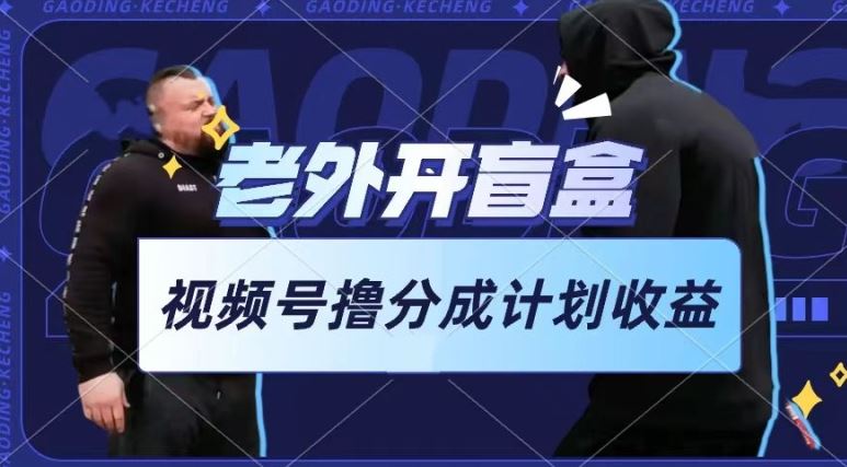 老外开盲盒视频，撸视频号分成计划收益，每天只需一小时，新手小白轻松上手【揭秘】-九才资源网