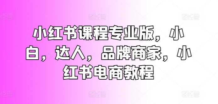 小红书课程专业版，小白，达人，品牌商家，小红书电商教程-九才资源网