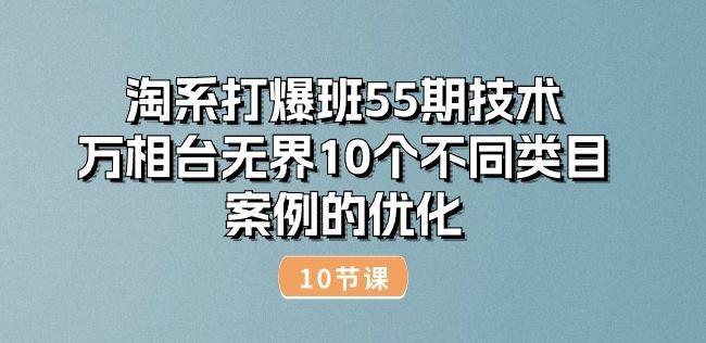 淘系打爆班55期技术：万相台无界10个不同类目案例的优化(10节)-九才资源网