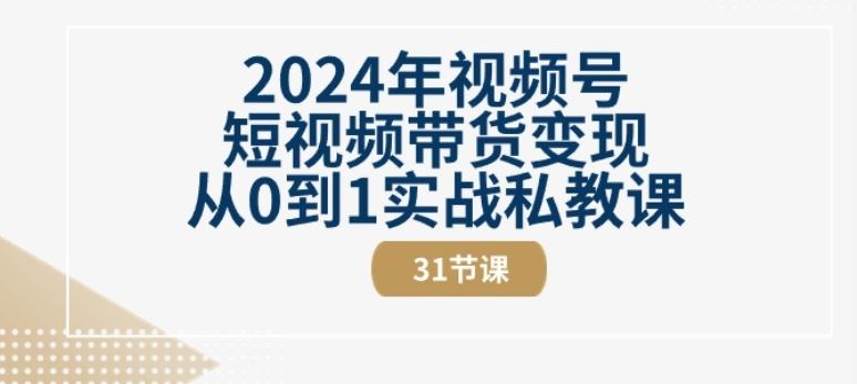 2024年视频号短视频带货变现从0到1实战私教课(31节视频课)-九才资源网