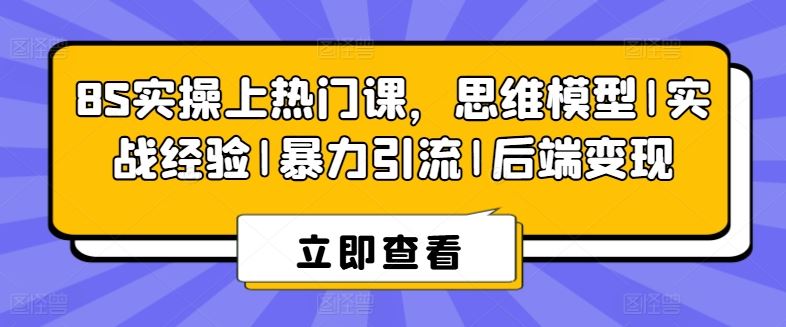 8S实操上热门课，思维模型|实战经验|暴力引流|后端变现-九才资源网