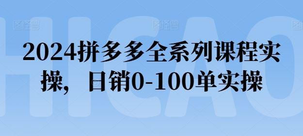 2024拼多多全系列课程实操，日销0-100单实操【必看】-九才资源网