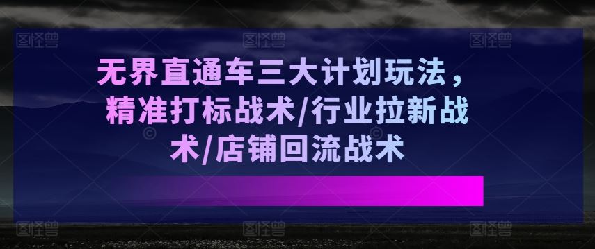 无界直通车三大计划玩法，精准打标战术/行业拉新战术/店铺回流战术-九才资源网