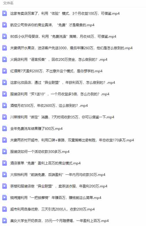 图片[8]-（9607期）真实有效391套商业模式，年入几十到几百万案例解析（电子书+视频+图文）-九才资源网