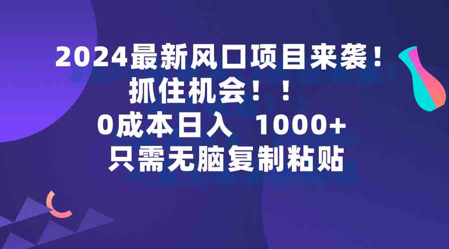 （9899期）2024最新风口项目来袭，抓住机会，0成本一部手机日入1000+，只需无脑复…-九才资源网