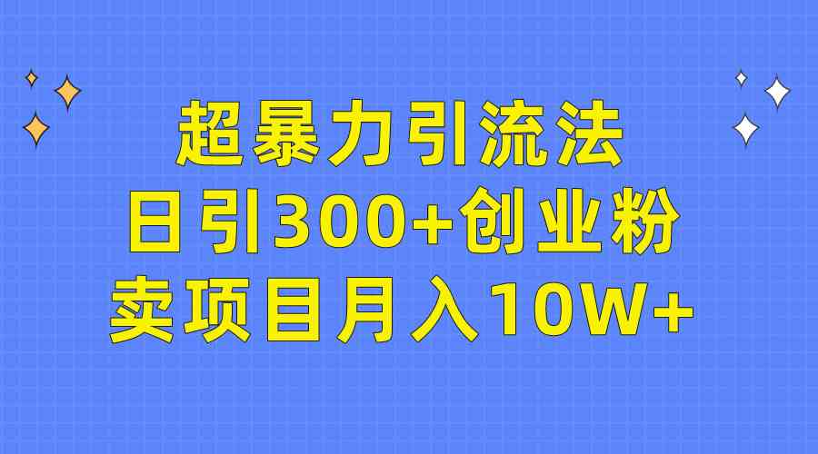 （9954期）超暴力引流法，日引300+创业粉，卖项目月入10W+-九才资源网