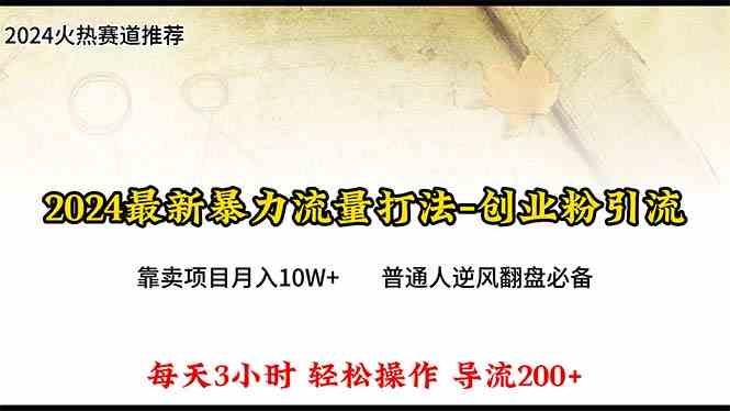 （10151期）2024年最新暴力流量打法，每日导入300+，靠卖项目月入10W+-九才资源网