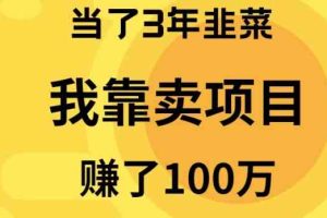 （10149期）当了3年韭菜，我靠卖项目赚了100万-九才资源网